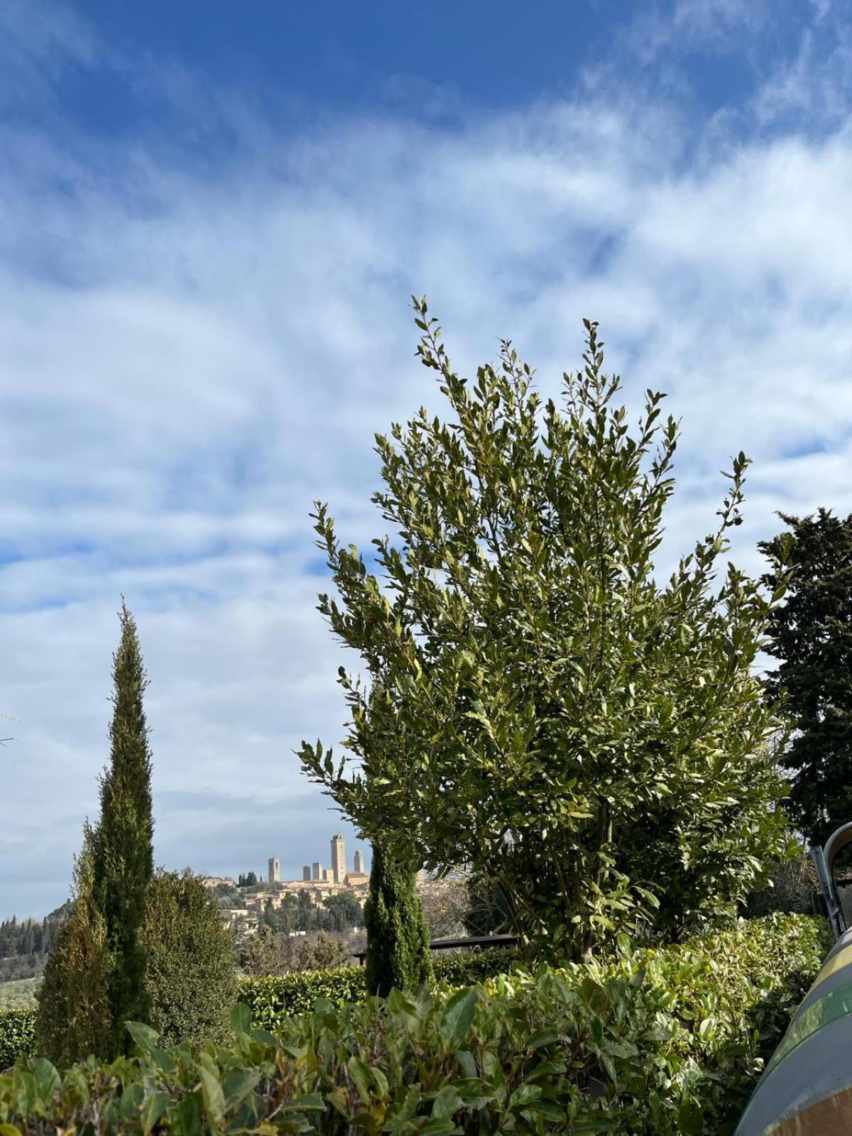 La Casina Di Cinzia Leilighet San Gimignano Eksteriør bilde
